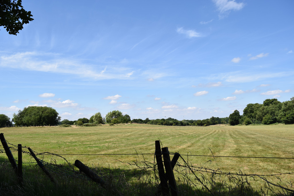 image-029-2015-07-04