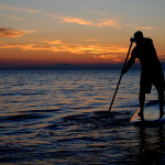 SUP - Stand up Paddle